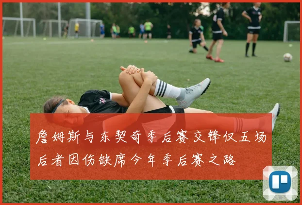 詹姆斯与东契奇季后赛交锋仅五场后者因伤缺席今年季后赛之路