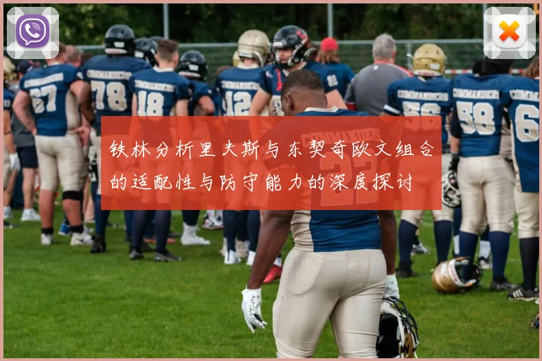 铁林分析里夫斯与东契奇欧文组合的适配性与防守能力的深度探讨